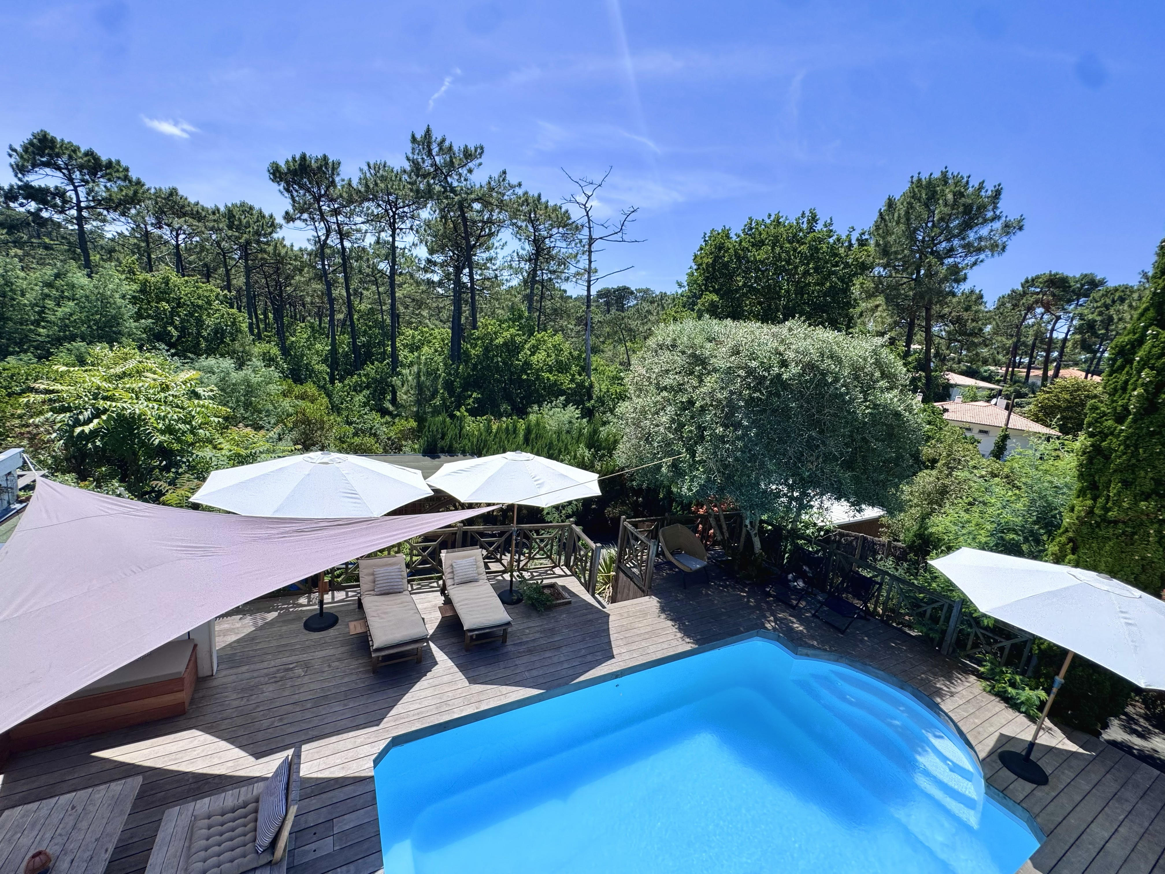 Piscine et forêt